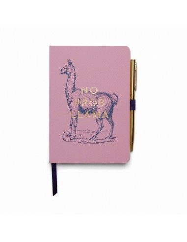 Cuaderno + Bolígrafo "No Prob Llama" - Designworks Ink